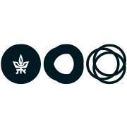Logo of Tel Aviv University